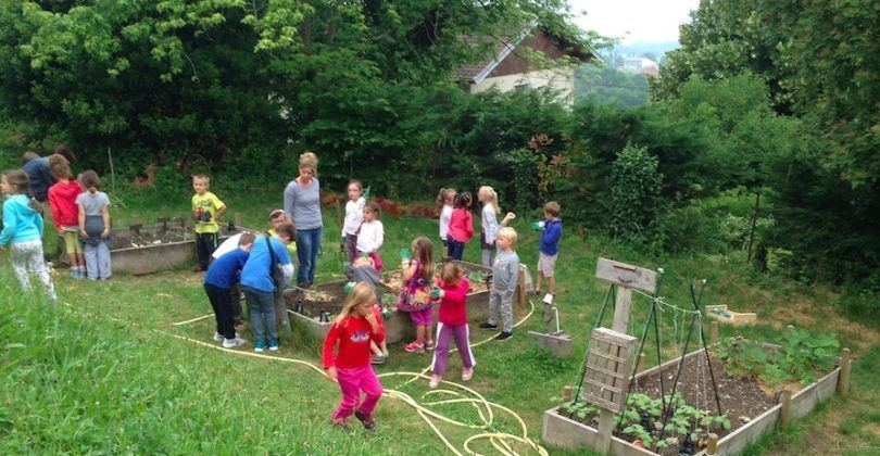 Les élèves de GS/CP au jardin potager